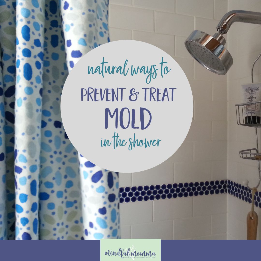 Handmade Mould Prevention Spray & Methods to Clear Mould in Bathe