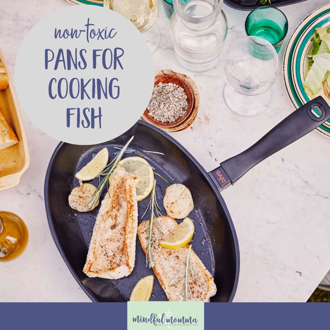 A non-toxic, nonstick fish pan in your kitchen