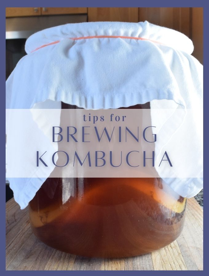 Tips about the right way to Avoid Mildew and Fruit Flies in Do-it-yourself Kombucha